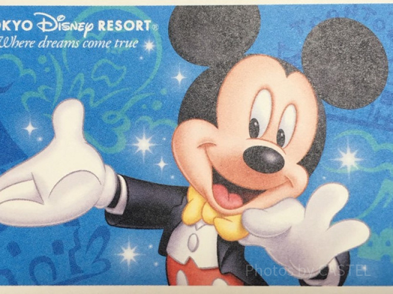 無期限】東京ディズニーランドorディズニーシー ペアチケット 【公式通販】