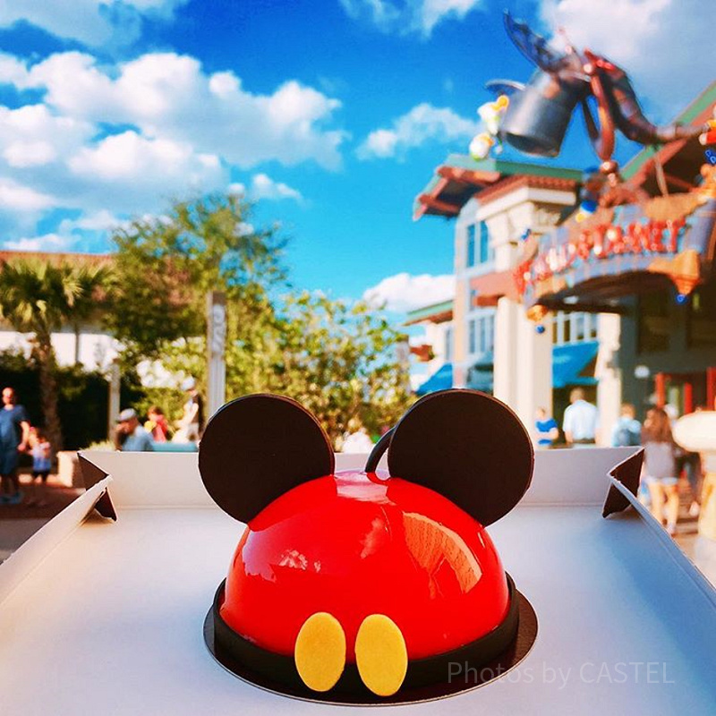 ディズニーワールド】フロリダで世界最大級の感動を！4パークと2つの