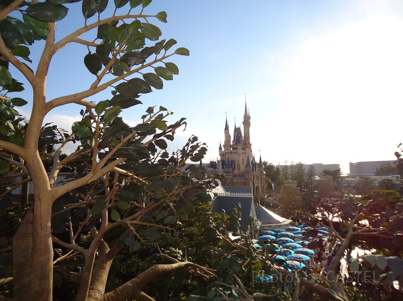 SNS映えする写真を！ディズニーランドのフォトスポット4選