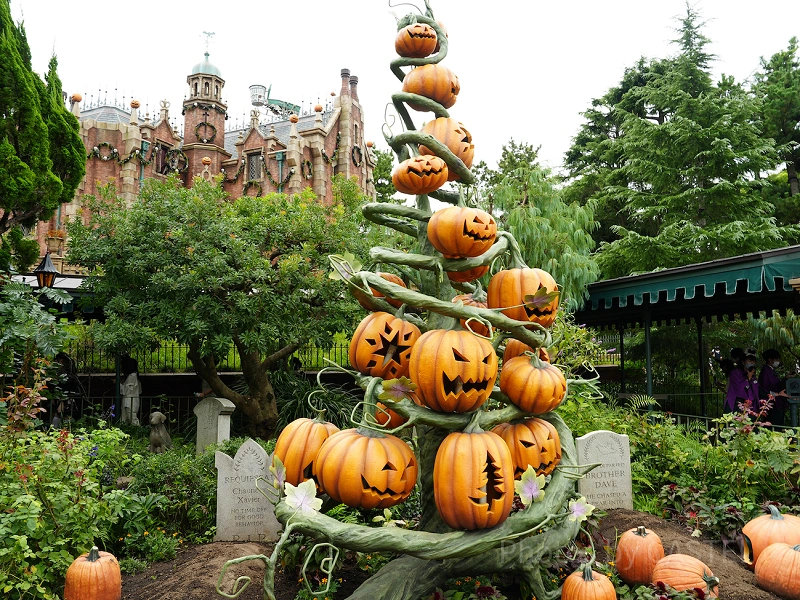 5％OFF】 ホーンテッドマンション 通常入園もハロウィンも コスプレ