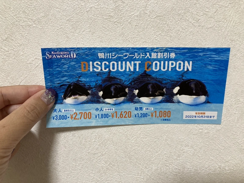 鴨川シーワールド】最大半額オフ！チケットの割引・クーポン情報まとめ