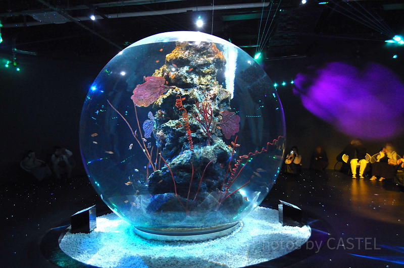 atoa アトア AQUARIUM×ART 入場引換券大人2枚 - 水族館