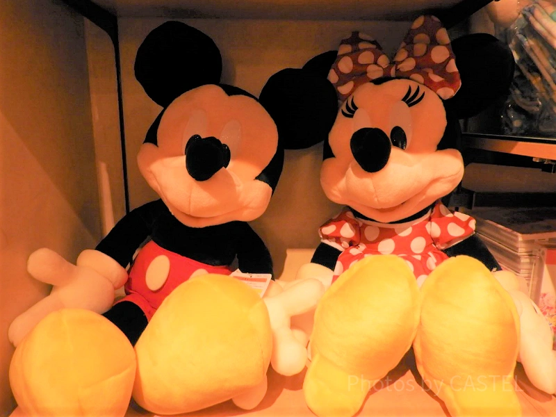 ホーンテッド・マンションの隠れミッキーを探せ！