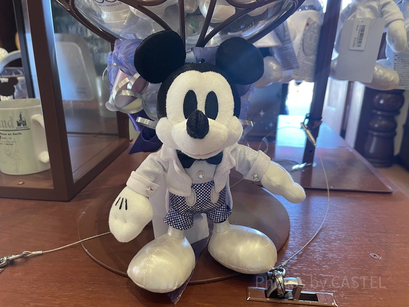 2/2発売】ディズニー100周年グッズ全20種類まとめ！値段や販売場所を