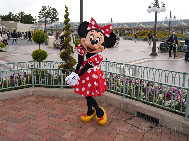 香港ディズニー新作★ミニーちゃんボタニカルリボンカチューシャ 即購入OK! 鏡 ミニちゃん （香港ディズニー新作☆ミニーちゃん