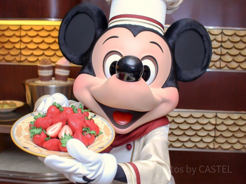 ディズニー】マイアニバーサリーストーリーでミッキーと記念日をお祝い