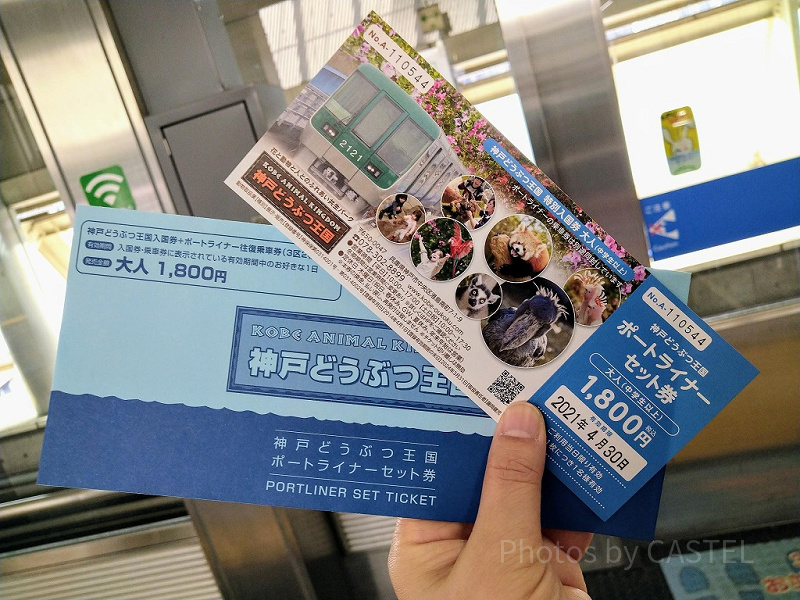 神戸どうぶつ王国のアクセス方法まとめ！電車・車・飛行機の経路
