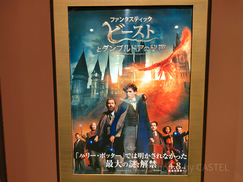 【ネタバレあり】映画『ファンタビ３／ダンブルドアの秘密』のあらすじを解説！キャストや日本語吹き替え声優もチェック