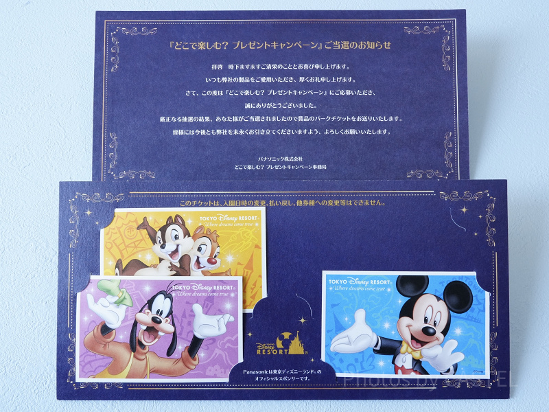 【2026】ディズニー貸切イベントに行ってきた！チケット入手方法＆体験談！貸切開催日程まとめ！