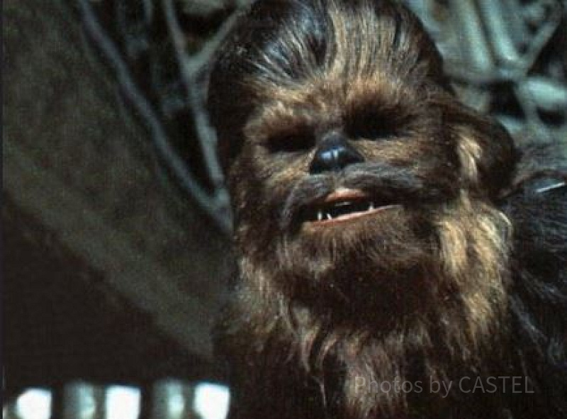 スター・ウォーズのハン・ソロの相棒「チューバッカ」の