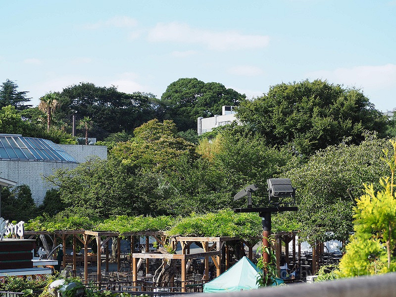 【2021】上野動物園について徹底解説！各エリア＆動物解説・モデルコースまとめ！