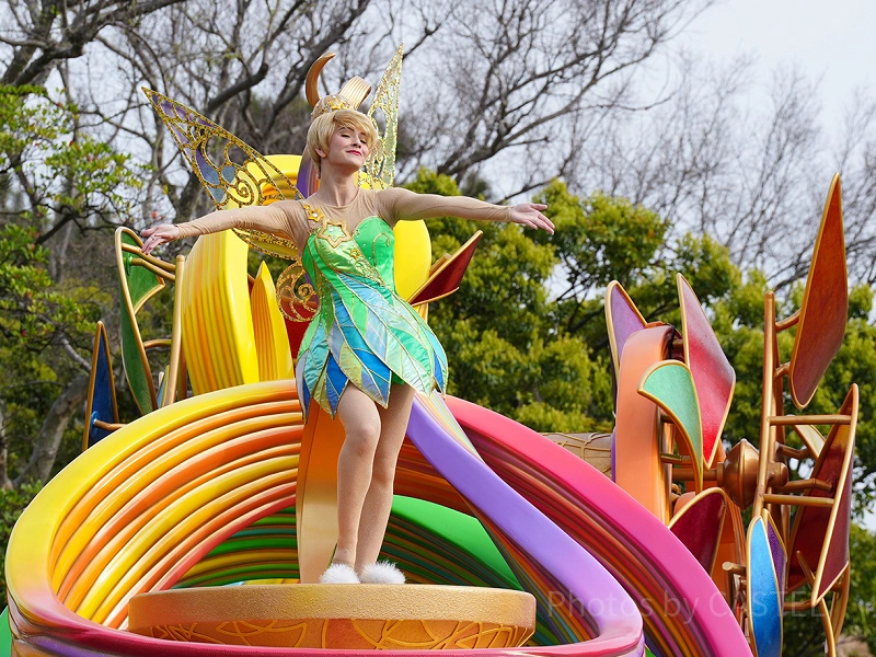 TDL】ハーモニーインカラーをレストランから鑑賞しよう！おすすめの