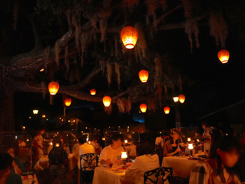 ディズニーランド高級レストラン厳選3種 ランチ ディナー 大人向けデートにおすすめの豪華な ディズニーランド高級レストラン厳選3種 ランチ ディナー 大人向けデートにおすすめの豪華な