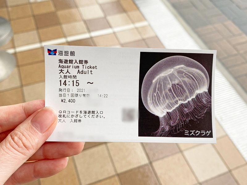 22 海遊館チケット料金まとめ 1日券 バックヤード見学チケット 他施設セット券など 年パスは廃止