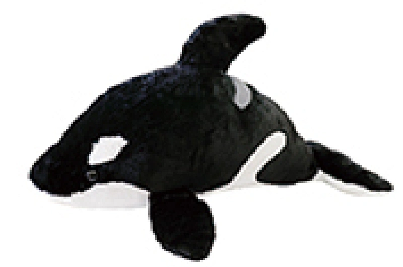 鴨川シーワールド シャチ好き必見 ショーやグッズ シャチが見えるレストランを解説