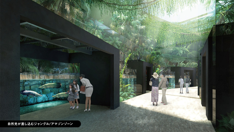 【7月オープン】「カワスイ 川崎水族館」の料金解説!時間指定の昼チケ&夜チケも販売中!