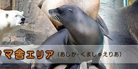 アシカ・クマ舎エリア| キャステル | CASTEL ディズニー情報