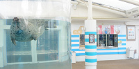 京都水族館のスタジアムカフェ| キャステル | CASTEL ディズニー情報