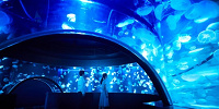 クラゲワンダー360度パノラマ水槽| キャステル | CASTEL ディズニー情報