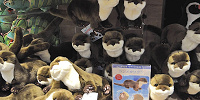 ぬいぐるみ コツメカワウソ| キャステル | CASTEL ディズニー情報