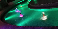 夜の「ジャスミンのフライングカーペット」| キャステル | CASTEL ディズニー情報