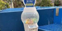 きらめきの泉の外周部に暮らす魚たちにあげられる餌のカプセル| キャステル | CASTEL ディズニー情報