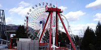 トンデミーナ| キャステル | CASTEL ディズニー情報