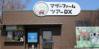 マザーファームツアーDXの受付| キャステル | CASTEL ディズニー情報
