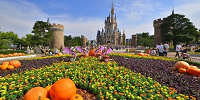 イベント時期の混雑回避に実施された？| キャステル | CASTEL ディズニー情報