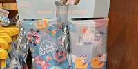 カラビナ（ケース付）セット（2022ディズニー夏グッズSUISUI SUMMER）| キャステル | CASTEL ディズニー情報