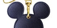 QUICPay for ディズニー★JCBカード| キャステル | CASTEL ディズニー情報