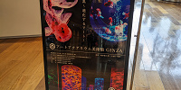 アートアクアリウム銀座　看板| キャステル | CASTEL ディズニー情報