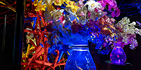 アートアクアリウム銀座　金魚花瓶| キャステル | CASTEL ディズニー情報