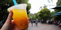 【2025】ディズニーのひんやりドリンク値段＆販売場所まとめ！暑い夏のパークにおすすめ