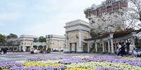 タワー・オブ・テラー前の広場| キャステル | CASTEL ディズニー情報