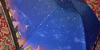 傘のメリットとデメリット| キャステル | CASTEL ディズニー情報