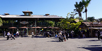 11月ディズニーランド混雑レポ：アドベンチャーランドの混雑状況(9:30頃)| キャステル | CASTEL ディズニー情報