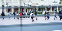 1月ディズニーランド混雑レポ：一般ゲストより先行して入園できるハッピーエントリー利用者| キャステル | CASTEL ディズニー情報
