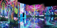 チームラボフォレスト福岡とは| キャステル | CASTEL ディズニー情報