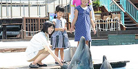 水族館：ツアー・アトラクション| キャステル | CASTEL ディズニー情報