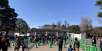 上野動物園正門／上野動物園| キャステル | CASTEL ディズニー情報