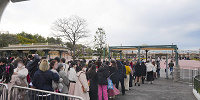 3月ディズニーランド混雑レポ：手荷物検査場（7:30頃）| キャステル | CASTEL ディズニー情報