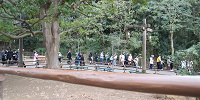 ディズニーシー3月混雑状況レポート：インディ・ジョーンズの待ち列（13:30頃）| キャステル | CASTEL ディズニー情報
