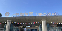 上野動物園のランチを解説！園内のレストラン／売店のメニューまとめ！持ち込みはOK？周辺のレストランも！
