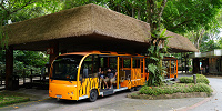 シンガポール動物園：無料のトラムも常時運行中| キャステル | CASTEL ディズニー情報