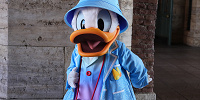 ディズニーシーで会えるドナルド| キャステル | CASTEL ディズニー情報
