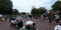 ディズニーランド5月混雑状況レポート：ウエスタンランドのパレード待ち(12:00頃)| キャステル | CASTEL ディズニー情報
