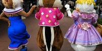 ディズニーにぴったりの靴を探そう| キャステル | CASTEL ディズニー情報