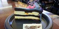 ジュペッタのジャンピン・チョコレートケーキ| キャステル | CASTEL ディズニー情報