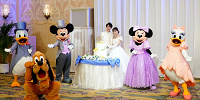 ディズニー・セレブレーション・ウェディング| キャステル | CASTEL ディズニー情報